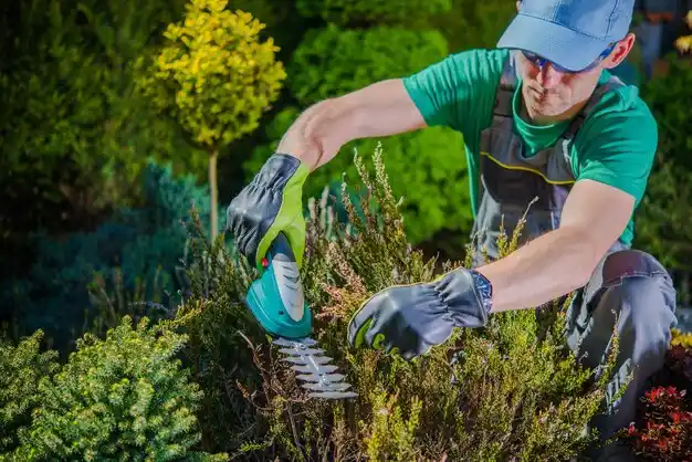 landscaping services Wildwood